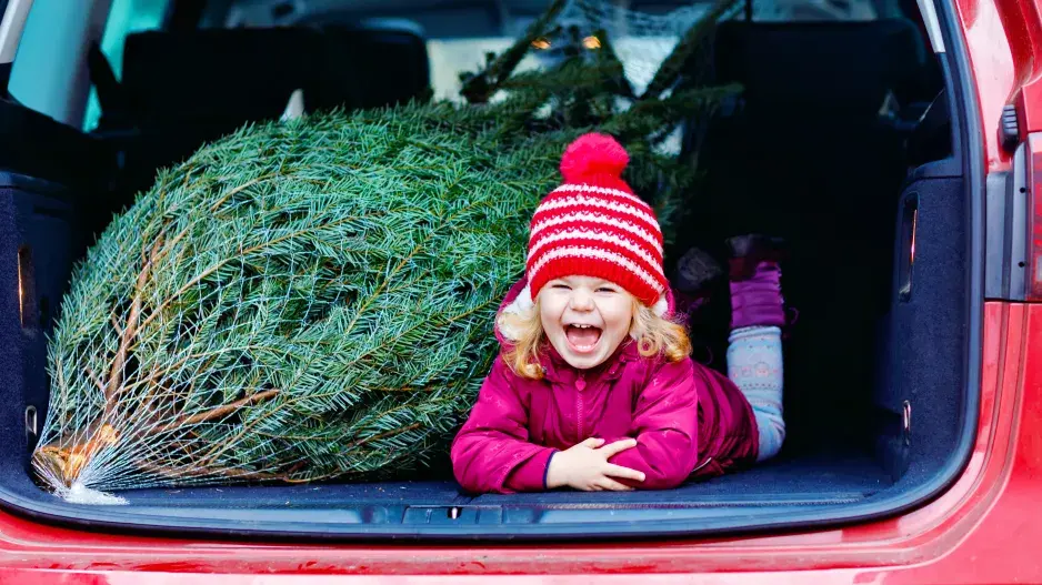 Smějící se holčička a vánoční stromek v autě