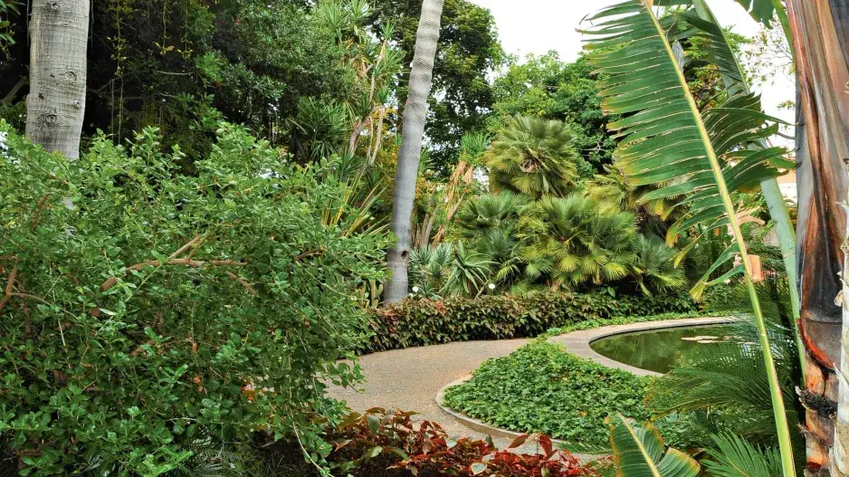 Aklimatizační zahrada La Orotava Aklimatizační zahrada La Orotava