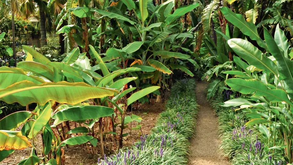 Aklimatizační zahrada La Orotava Aklimatizační zahrada La Orotava