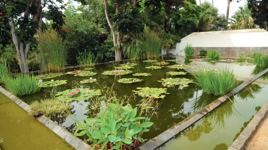 Aklimatizační zahrada La Orotava Aklimatizační zahrada La Orotava