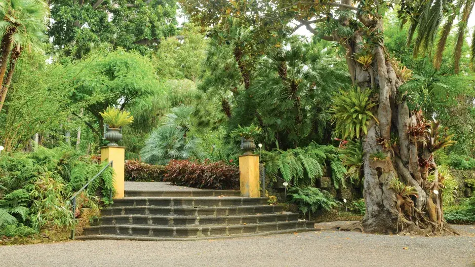 Botanická zahrada Jardín Botánico na Tenerife