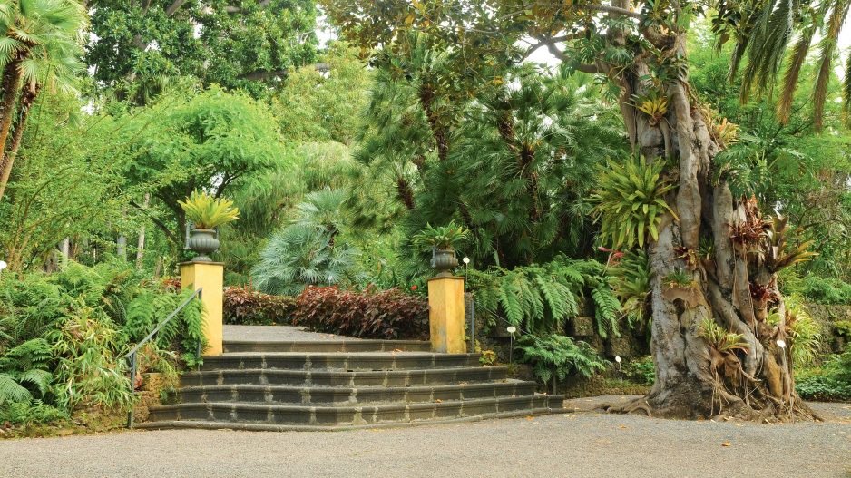 Botanická zahrada Jardín Botánico na Tenerife
