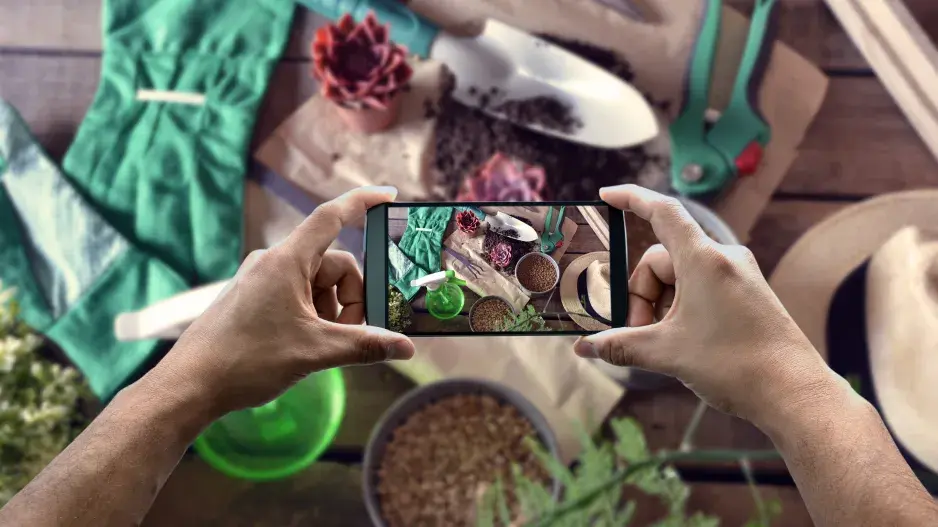 Koho sledovat na sítích