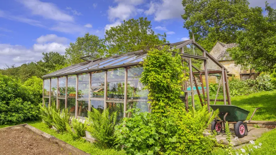 Skleník na zahradě