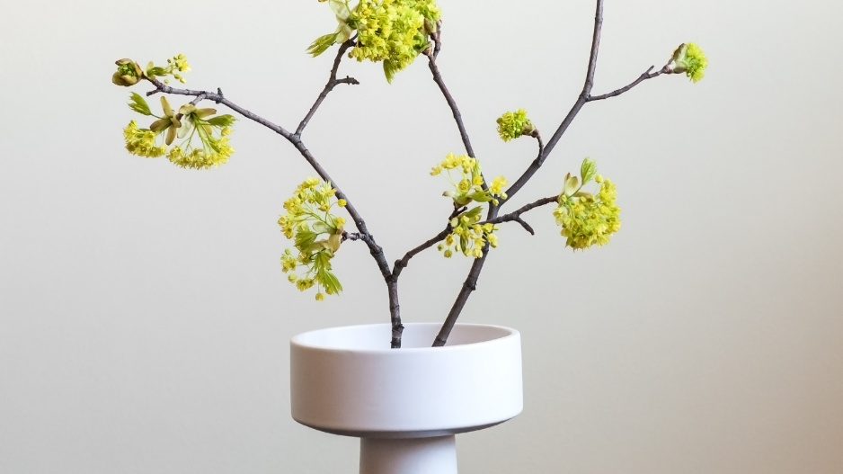 Ikebana1