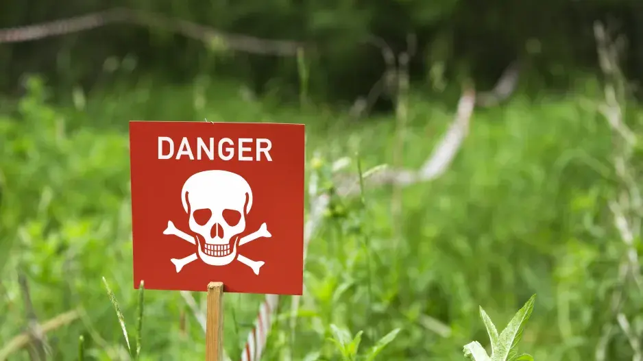 Jedovaté rostliny kvíz