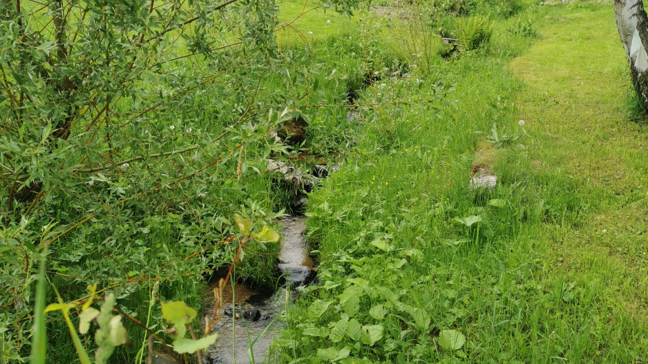 Ferdinandovy zahrady: Proměna zahrady u potoka
