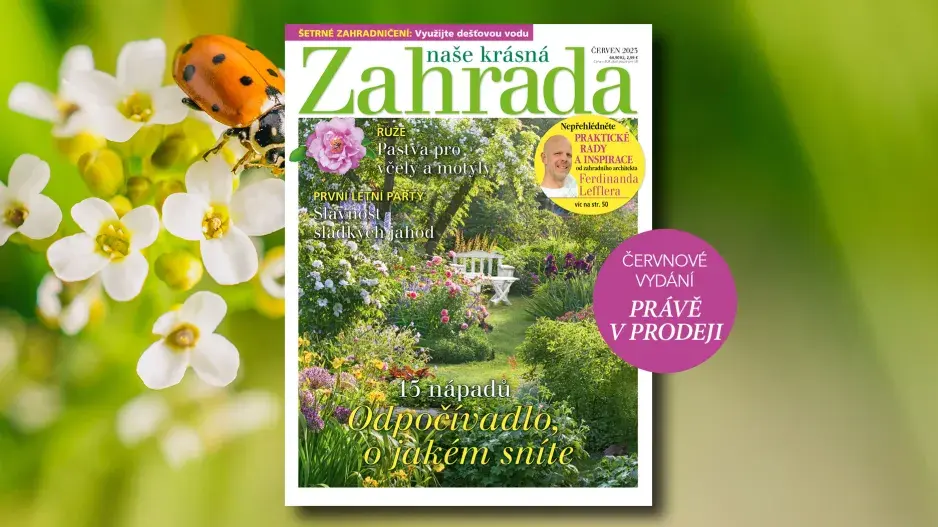 Naše krásná zahrada červen