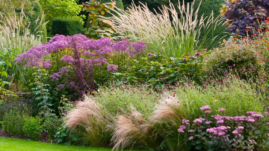 Okrasné traviny s trvalkami