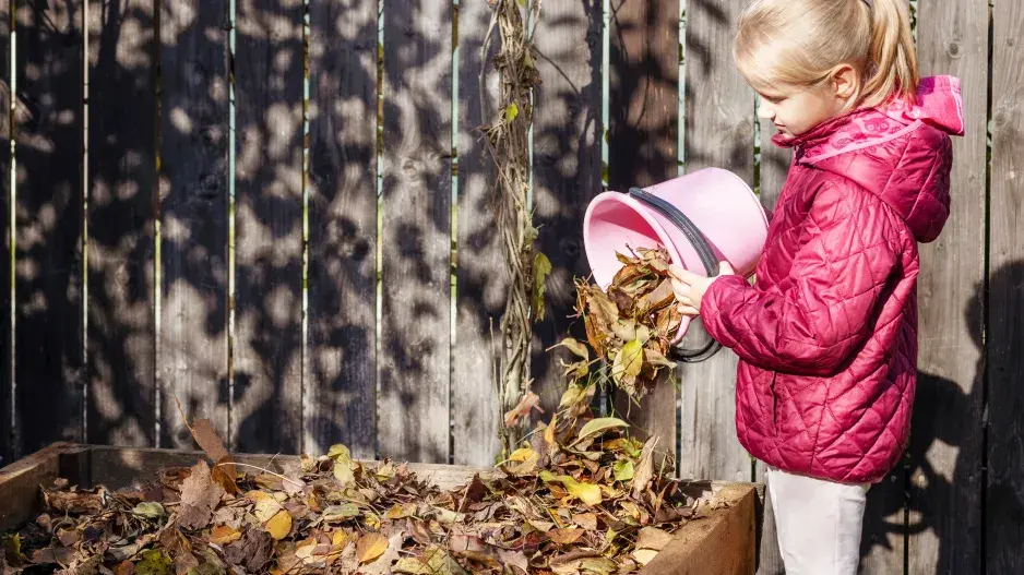 Jak nejlépe využít podzimní listí
