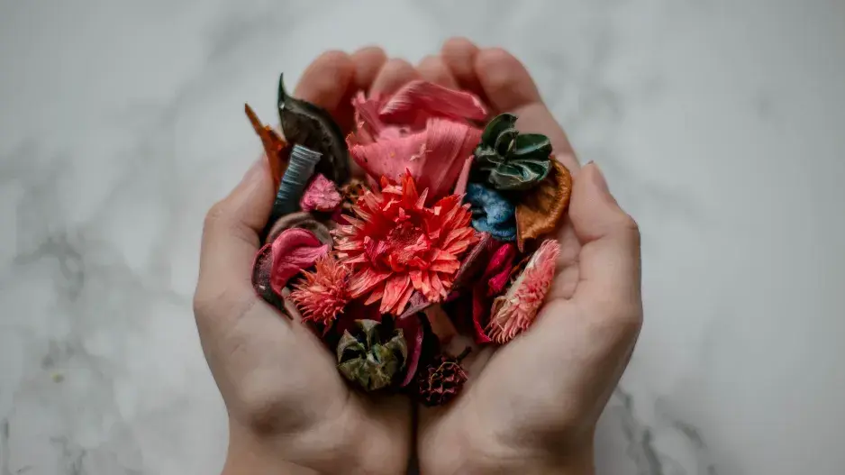 Potpourri