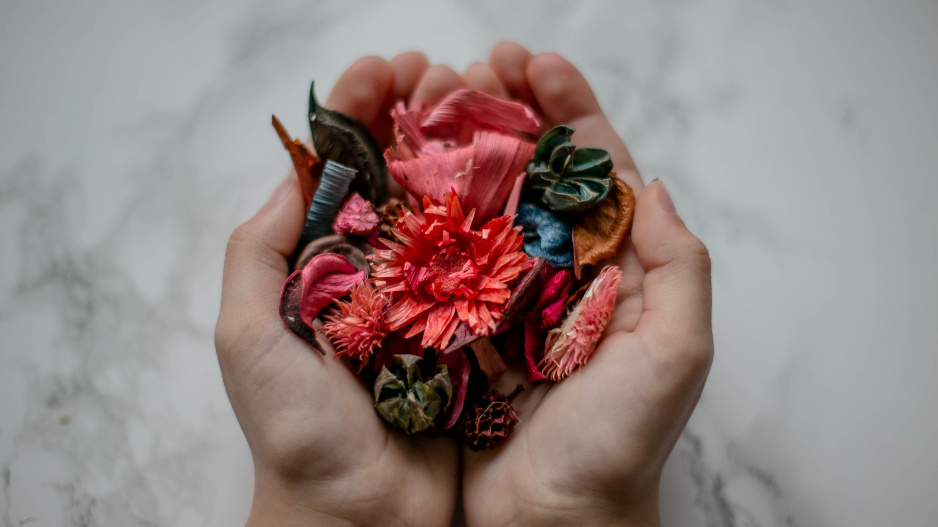 Potpourri