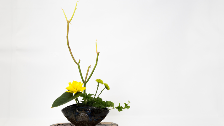 Ikebana