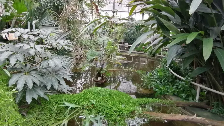 Botanická zahrada Přírodovědecké fakulty Univerzity Karlovy