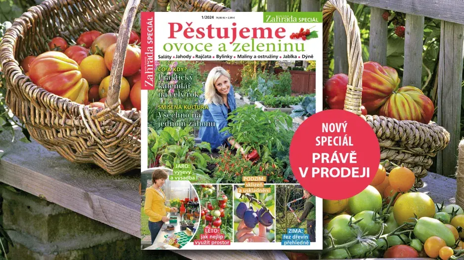 Naše krásná zahrada speciál Pěstujeme ovoce a zeleninu