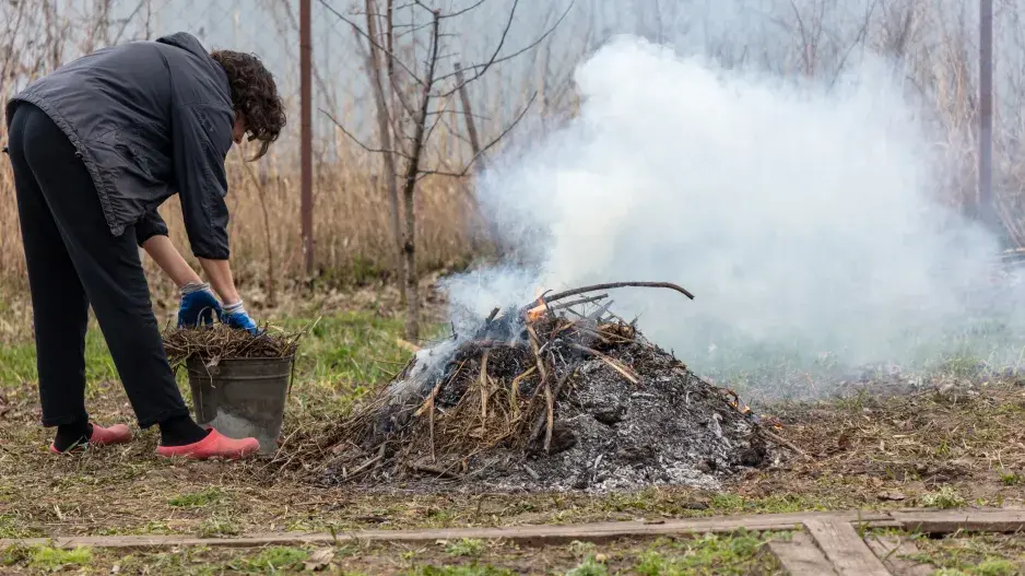 pálení trávy na zahradě