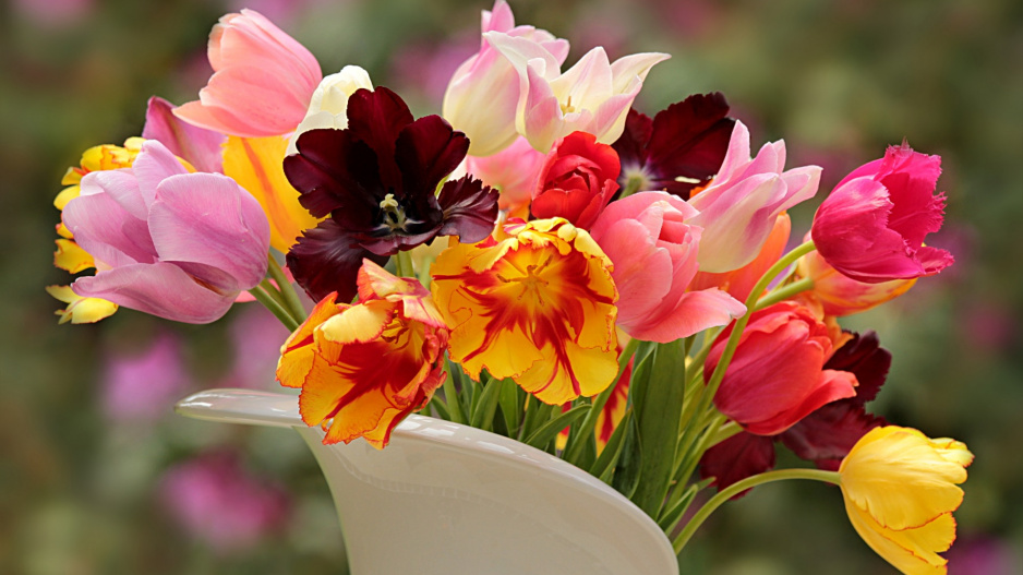Kyticí pestrobarevných tulipánů potěšíte snad každého