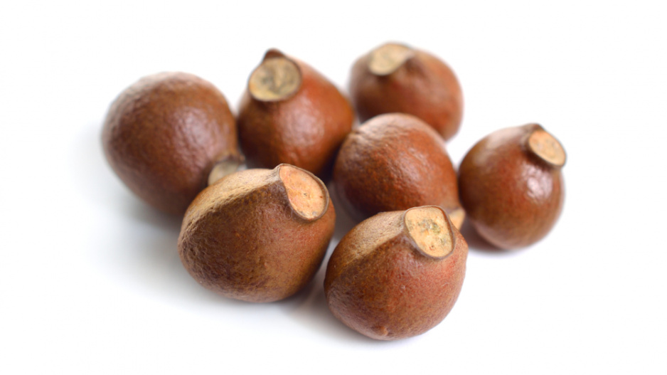 Klokoč zpeřený (Staphylea pinnata)