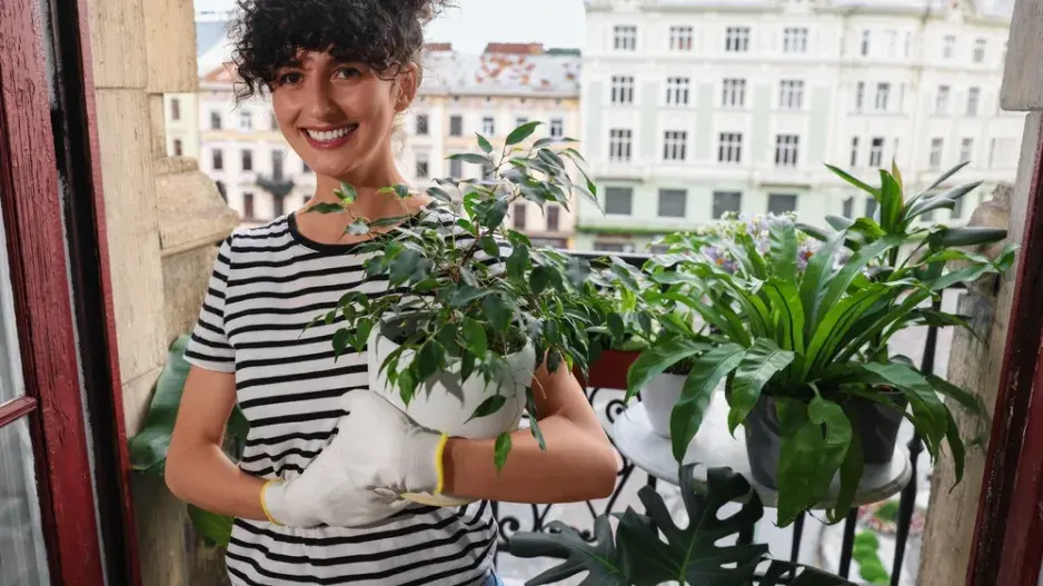 Přes léto pěstujte pokojové květiny na balkoně či v zahradě