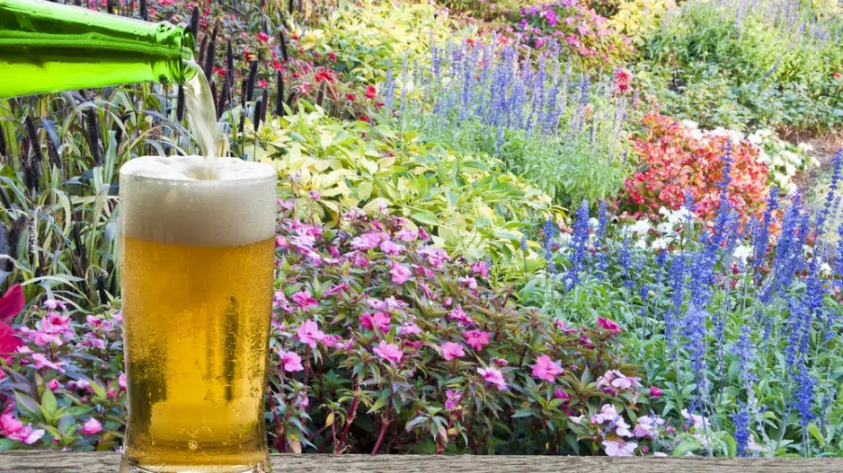 Pivo je pro zahradu poklad