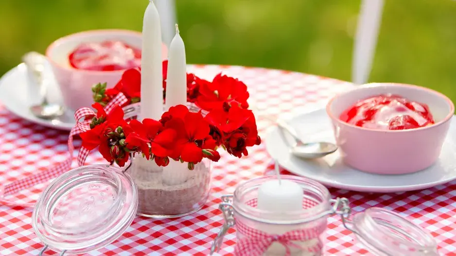 Věneček z muškátů