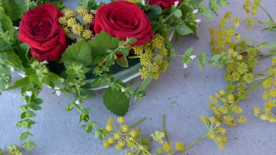 věnec komáři věnec komáři