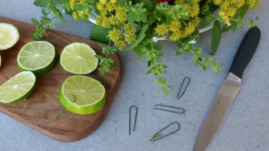 věnec komáři věnec komáři