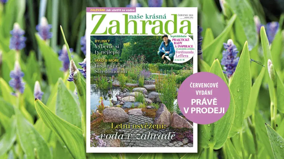 Naše krásná zahrada 7/2024