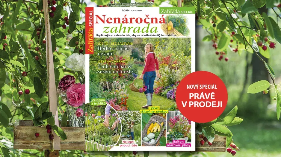 Nenáročná zahrada