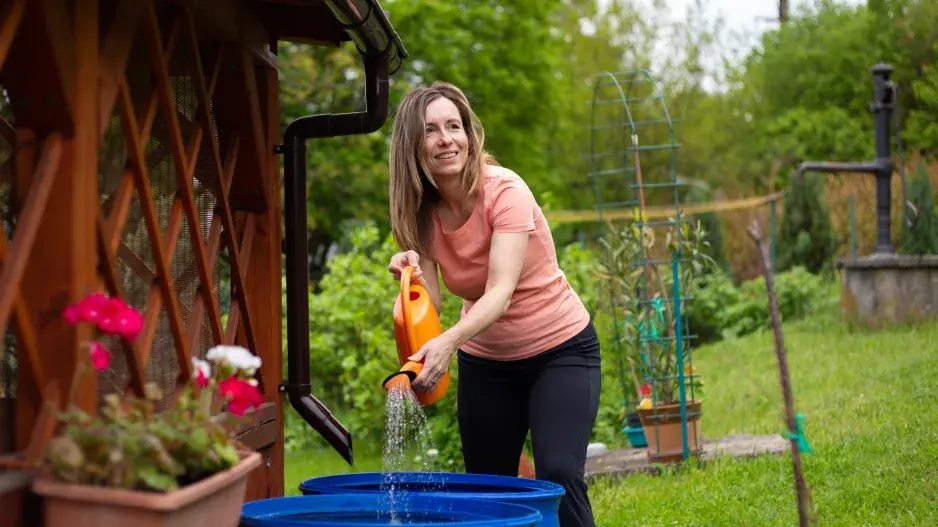 pravidelná závlaha může být problém