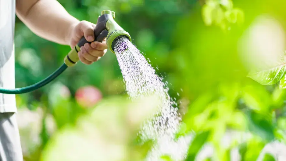 Zálivka zahrady