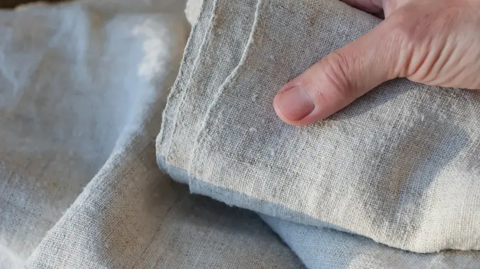 Rostliny, ze kterých se vyrábí textilie