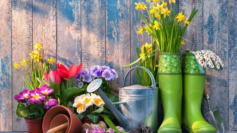 Inspirace do zahrady a nápady