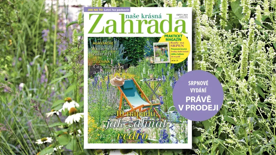 Srpnová Naše krásná zahrada