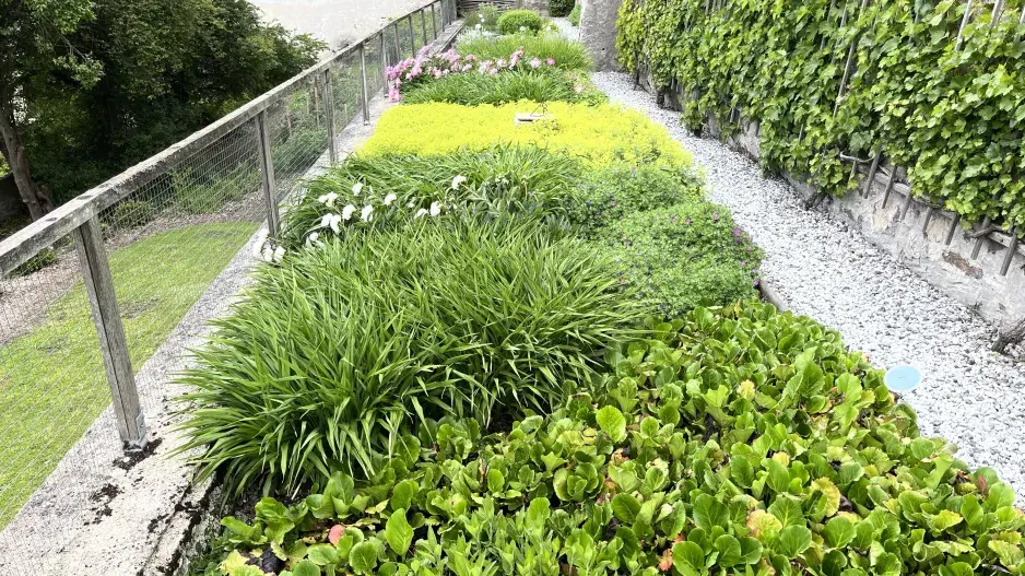 Rakouské klášterní zahrady voní bylinkami