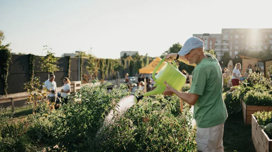 Komunitní zahrada Centra Černý Most