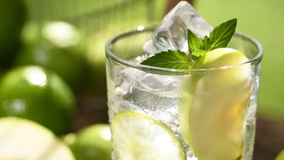 bylinky v letních nápojích