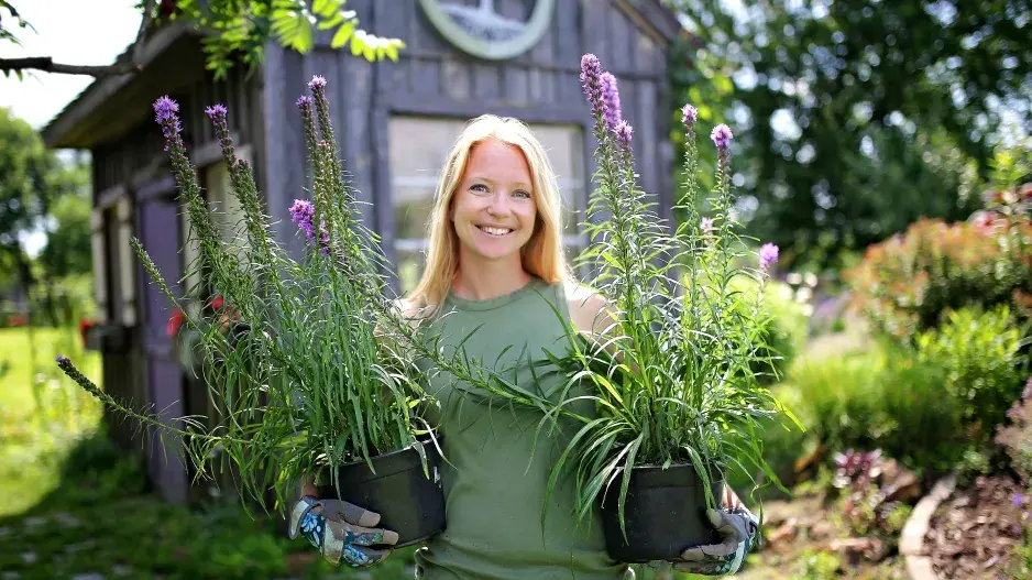 Některé druhy trvalek lze pěstovat v nádobách 