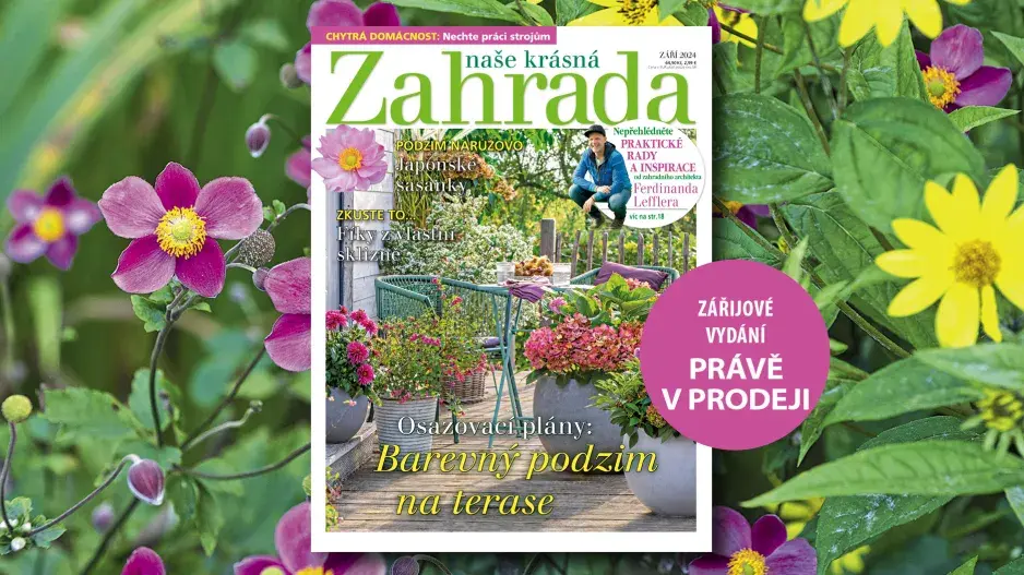 Naše krásná zahrada září