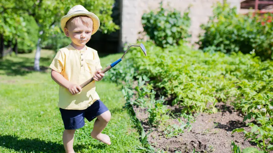 Permakulturní zahradničení