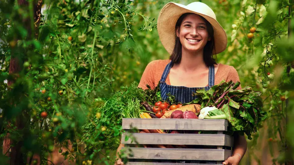5 ověřených tipů jak podpořit velkou sklizeň zeleniny našich redaktorek