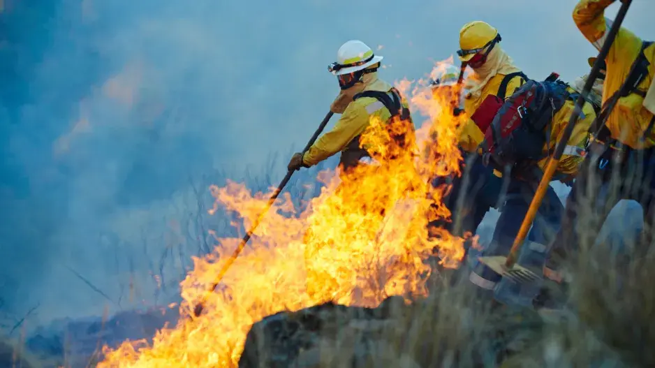 V horkém a suchém létě je zvýšené nebezpečí požárů