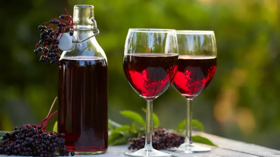 Bezinkové víno je výborné