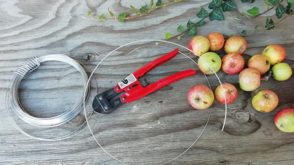 věnec z jablek věnec z jablek