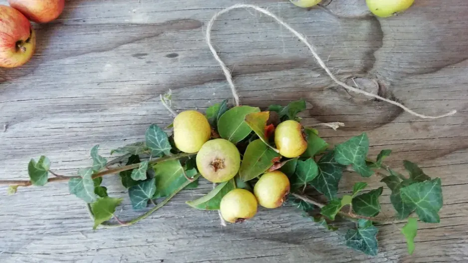 věnec z jablek věnec z jablek