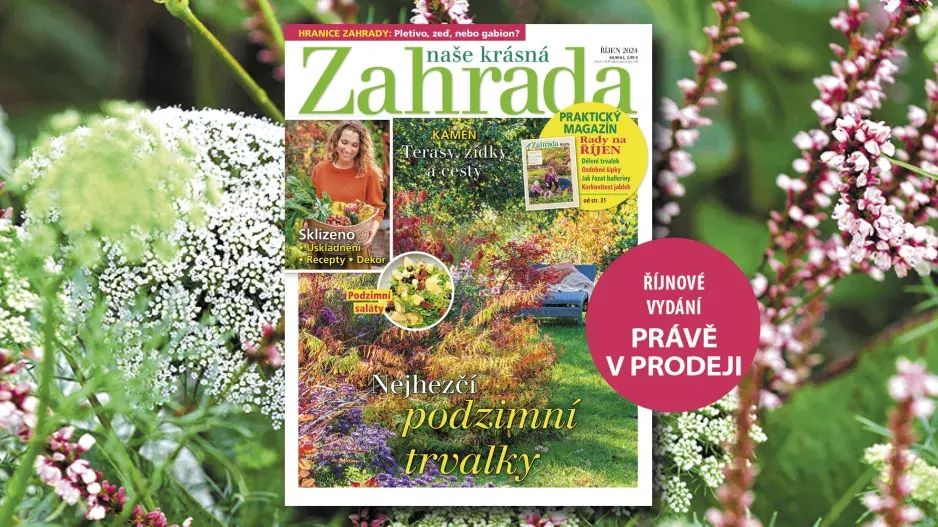Naše krásná zahrada říjen 2024