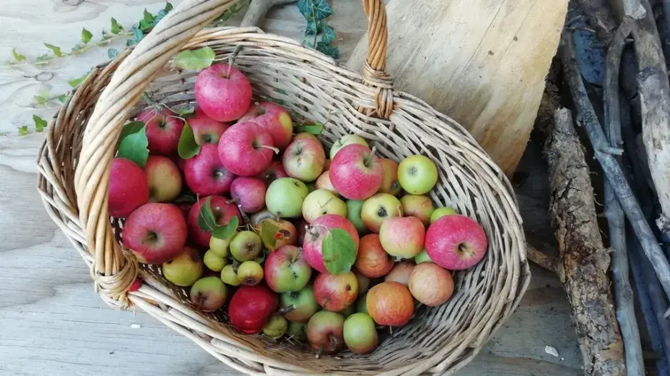 věnec z jablek věnec z jablek