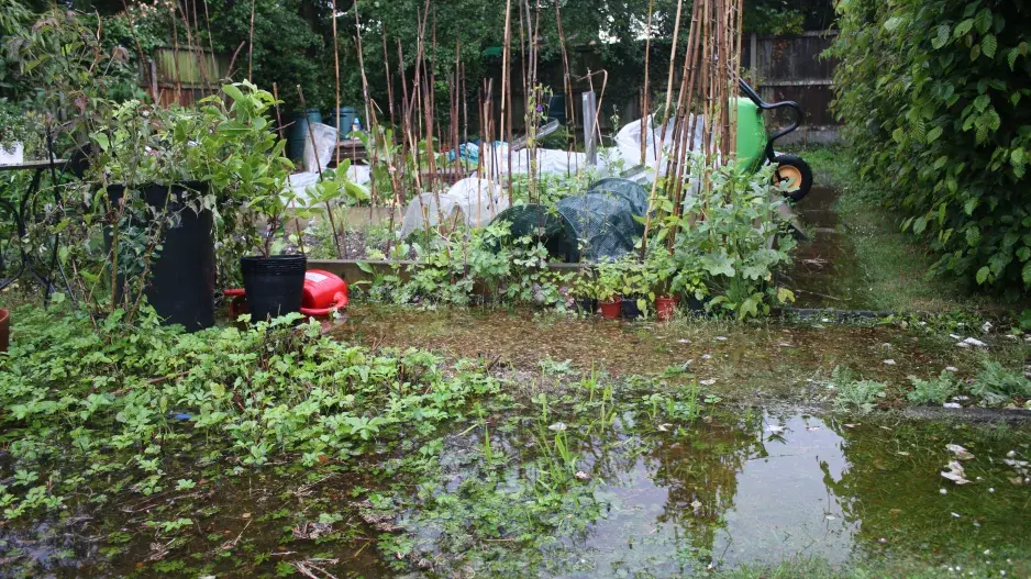 Velká voda v zahradě