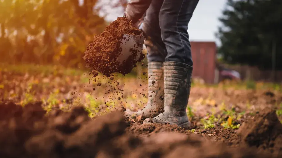 Podzimní rytí záhonů