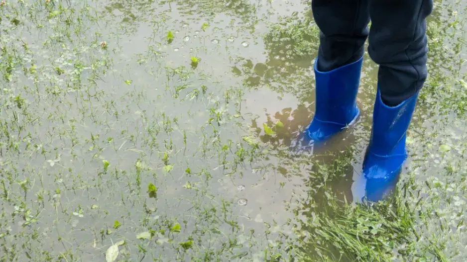 Záplava na zahradě